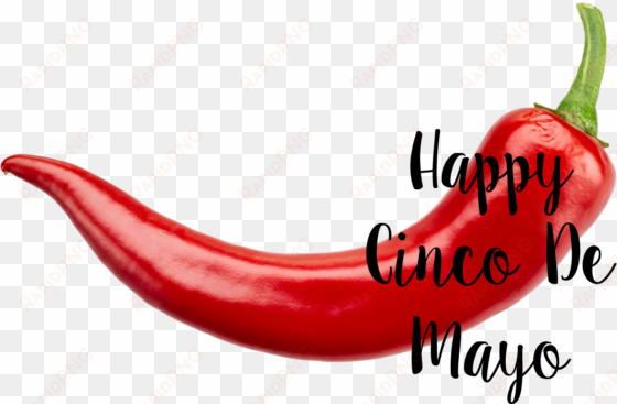 happy cinco de mayo - red chilli pepper transparent