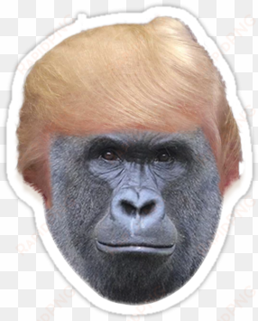 harambe trump - unwelcomegreetings harambe the gorilla mask by rapmasks