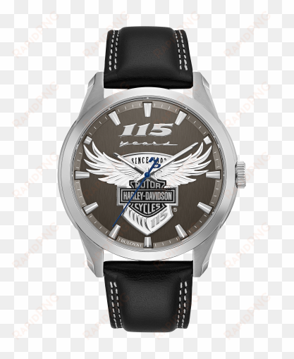 harley-davidson main view - patek philippe night and day