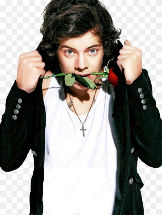 harry styles favorite color png harry styles favorite - harry styles with rose