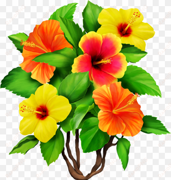 Hawaiian Aloha Tropical - Clipart Bouquet Hibiscus Flowers transparent png image