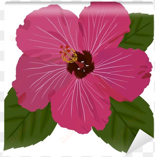 hawaiian hibiscus