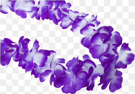 hawaiian lei garland purple - hawaii