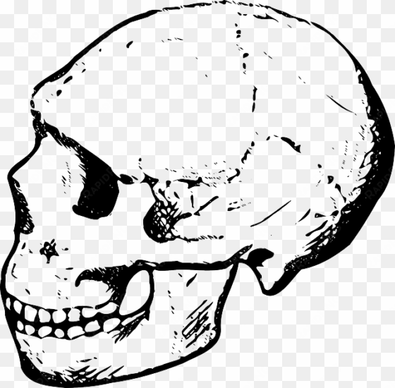 head, dead, black, skull, human, white, cartoon, bones - skull clip art