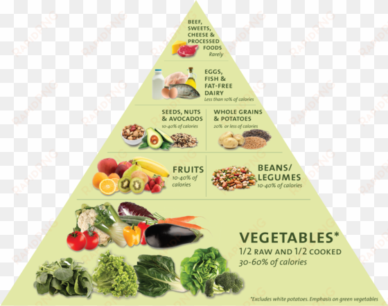 healthy food triangle - vitamins are good for the brain