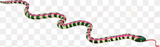 heartofwhiteness-snake - illustration