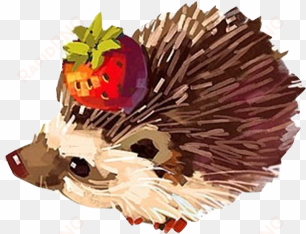 hedgehog paper drawing watercolor painting illustration - hedgehog in a teacup tattoos