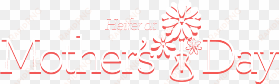 Heifer On Mother's Day - Mother's Day transparent png image
