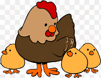 hen and chicks cartoon - cartoon hen and chicks