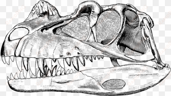 history, uses, and meaning - ceratosaurus