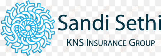 holi - kns insurance group