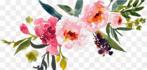 holla everyone - watercolor flowers transparent background