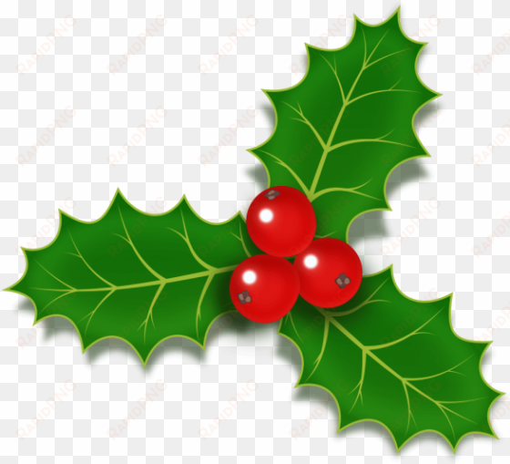 holly berries icon psd - christmas holly jpg