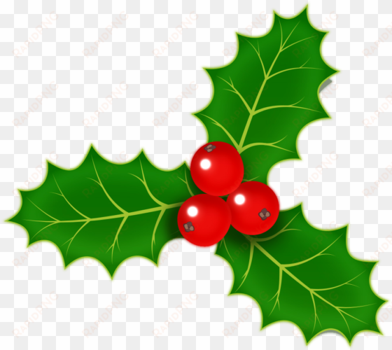 holly berries png - small holly clip art