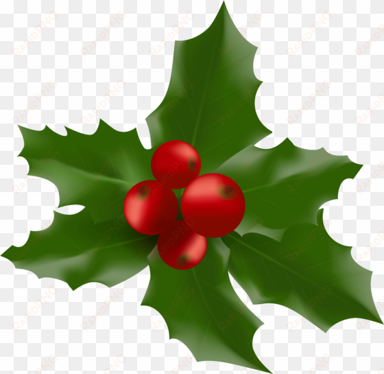 holly leaf png