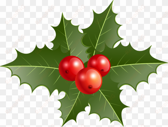 holly png