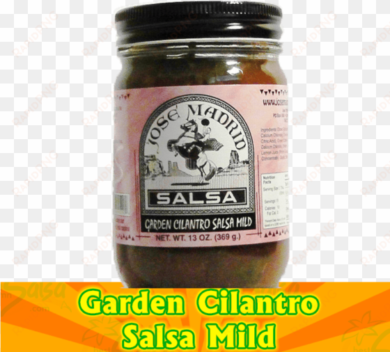 home / cilantro - salsa