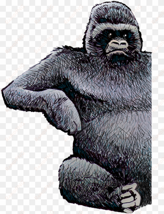 home - - mountain gorilla