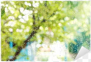 home window with raindrops after summer rain sticker - psychodynamic treatment of depression by fredric n.