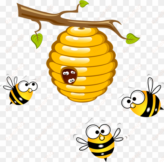 honey beehive clip art transprent png free - bee clip art