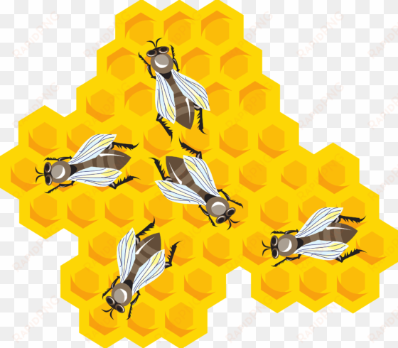 honey, cartoon, hive, wax, bees, combs, bee, comb - bees clipart honeycomb