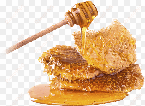 honey flavours - honey png