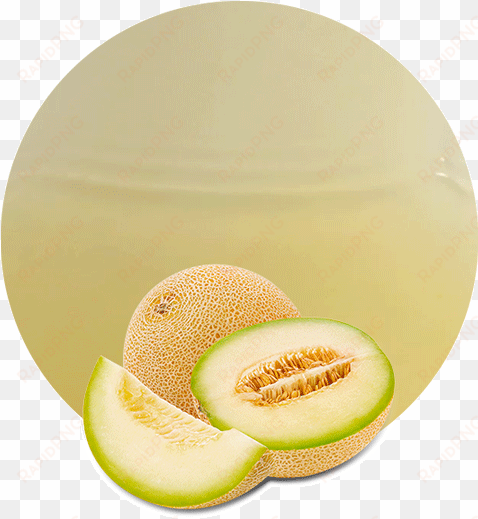 honeydew melon juice nfc - honeydew