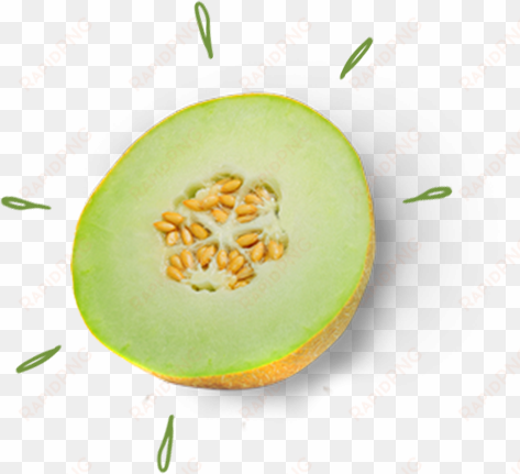 honeymoon - melon