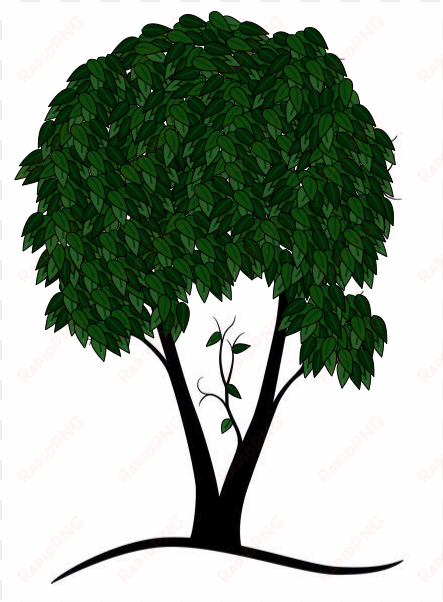 hope your tree vector looks great and don't hesitate - oak