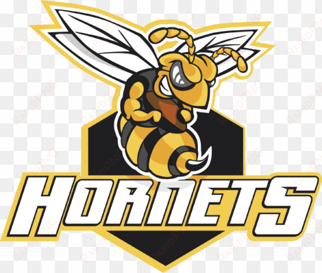 hornet logo png - hornets