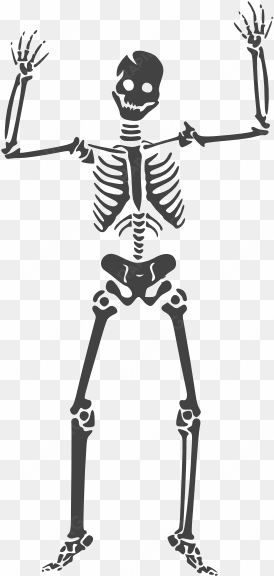 horror png - skeleton clipart