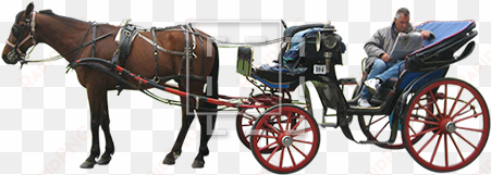 horse and carriage png - horse drawn carriage png