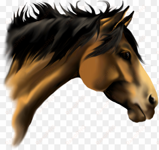 horse face vector clip art - 3d horse face