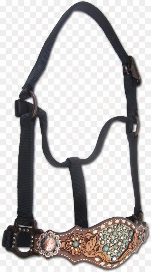 horse halter davinci 627131255 500×901 pixels - halter