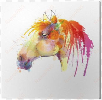 horse head watercolor painting canvas print • pixers® - fondo de caballo de colores