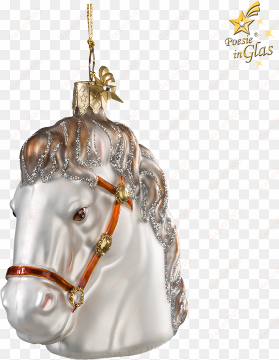 horse head white - stallion