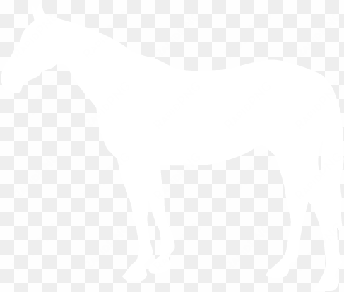 horse-icon - - horse