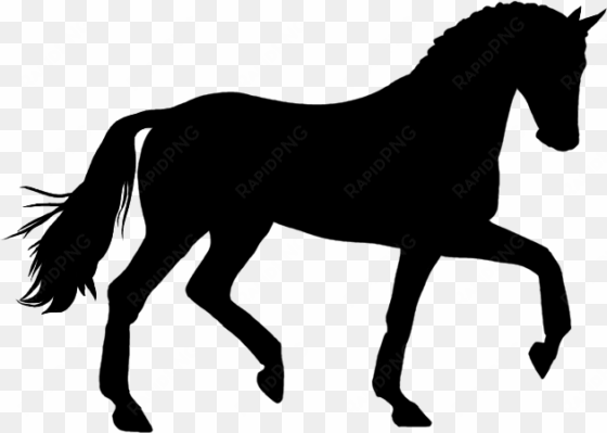 horse transparent png image - horse silhouette png