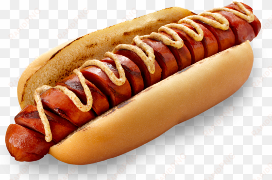 hot dog png image - grilled hot dog png
