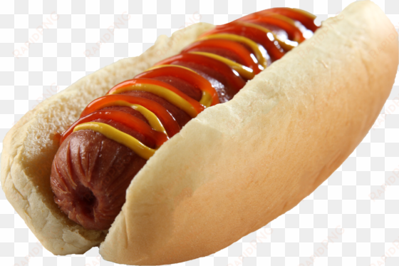 hot dog png image - hot dog transparent background