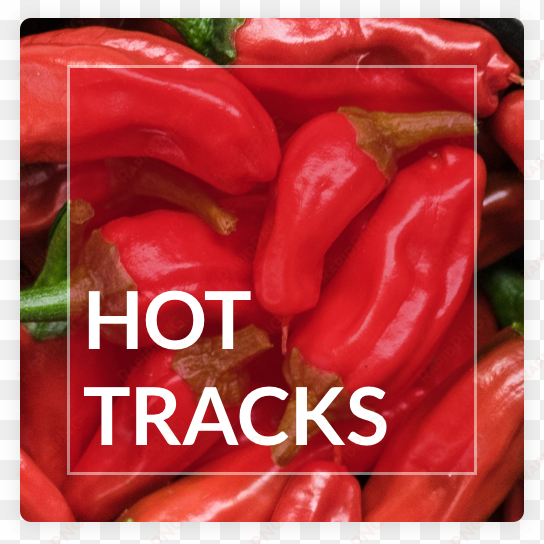 hot tracks the overflow - red bell pepper