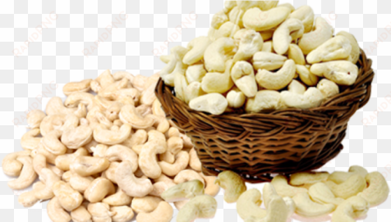 how to choose high quality cashew nuts - miltop cashew nuts 1 kg