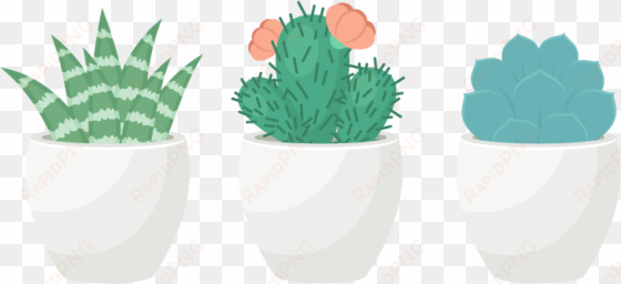 how to create a trio of succulents in adobe illustrator - transparent background succulent clip art