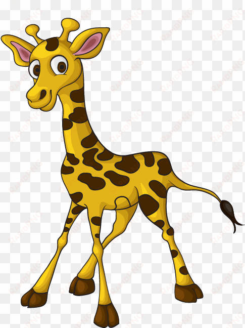 how to draw a baby giraffe steve - easy giraffe drawing