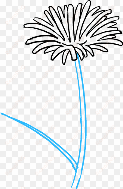 how to draw dandelion - drawing