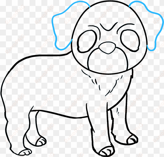 how to draw pug - drawing