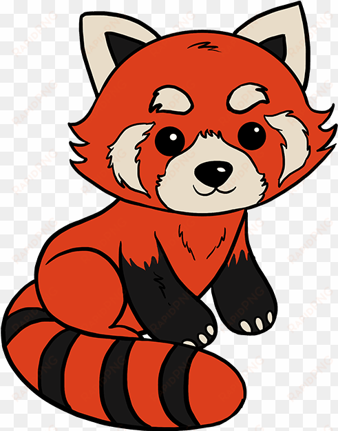 how to draw red panda - red panda drawing easy step by step