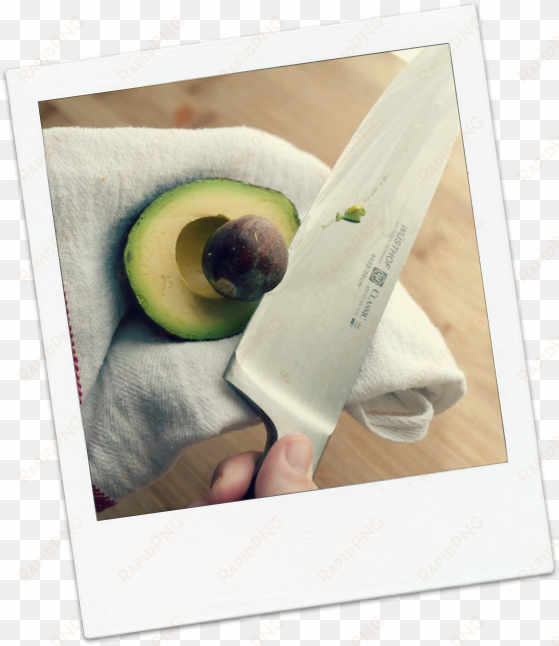 how to prepare and store avocado 2 - avocado