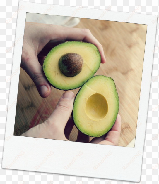 how to prepare and store avocado - ginza