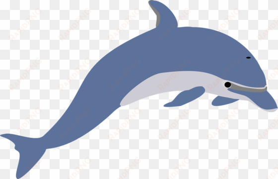 how to set use another dolphin clipart